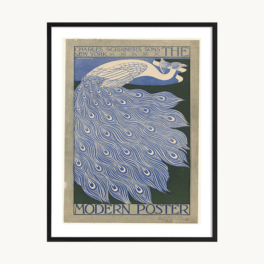 Cuadro Vintage ilustración ave alas azules