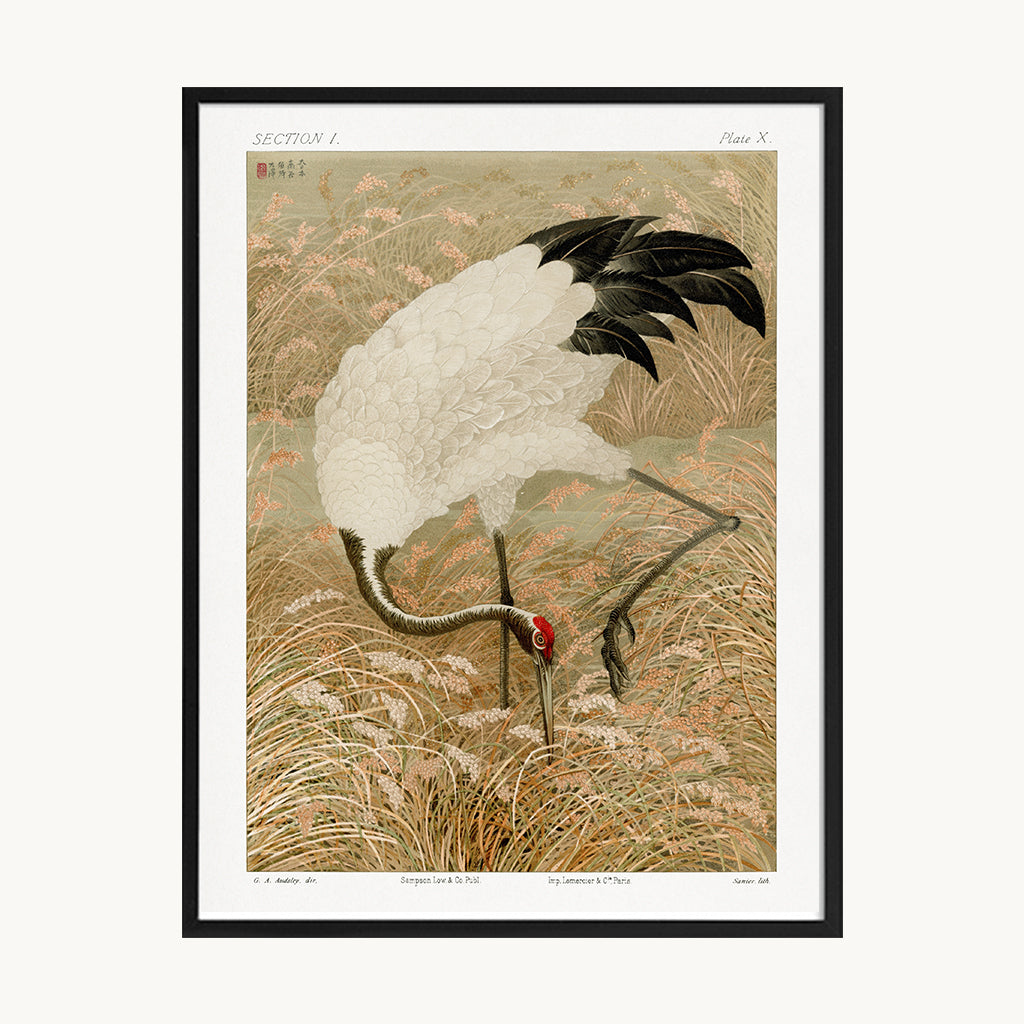 Cuadro Vintage ilustración ave oriental