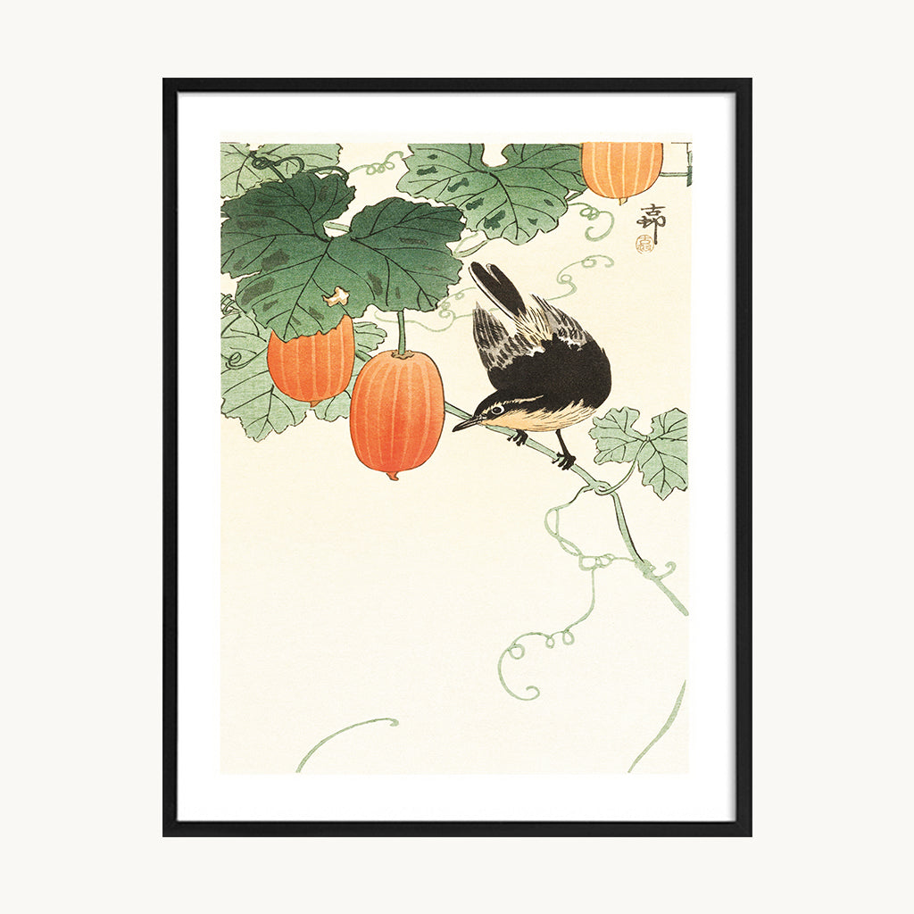 Cuadro Vintage ilustración botánica frutas y ave