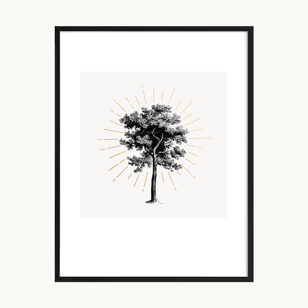 Cuadro Vintage dibujo árbol clásico