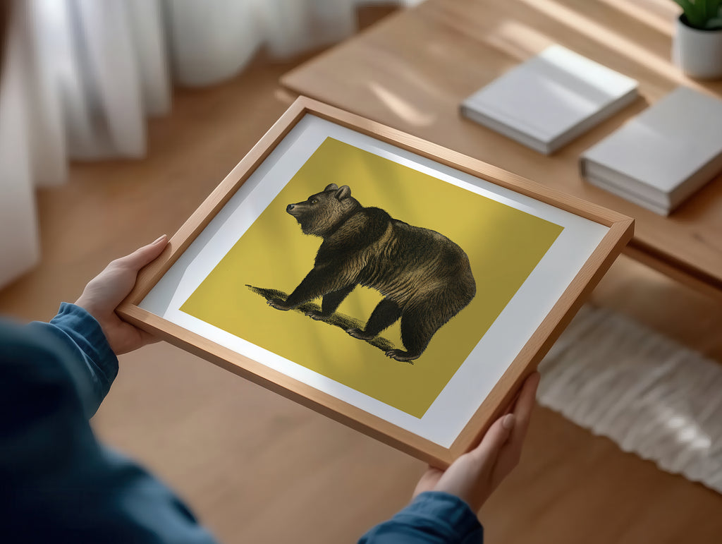 Cuadro Animales Oso Fondo Mostaza
